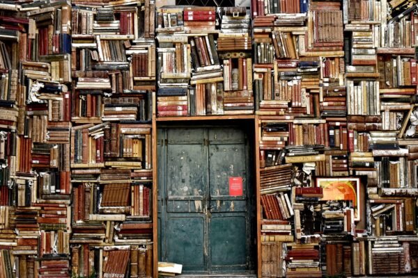 Keanggotaan Digital Perpustakaan Kota Blitar: Mempermudah Akses Informasi Publik